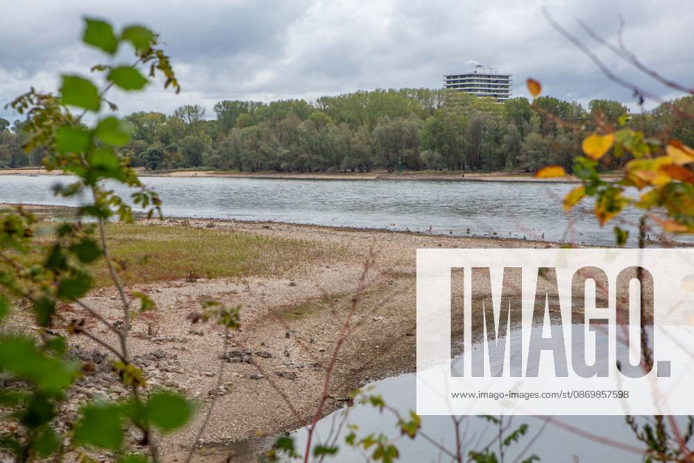 Seit Wochen beeinträchtigt Niedrigwasser den Schiffsverkehr auf dem Rhein. Im Köln lag der Pegel am Sonntag, 18. Oktober, bei nur noch 53 Zentimeter. Das Bild zeigt den Strom zwischen Köln-Poll und Köln-Rodenkirchen im Süden der Stadt. Niedrigwasser am Rhein