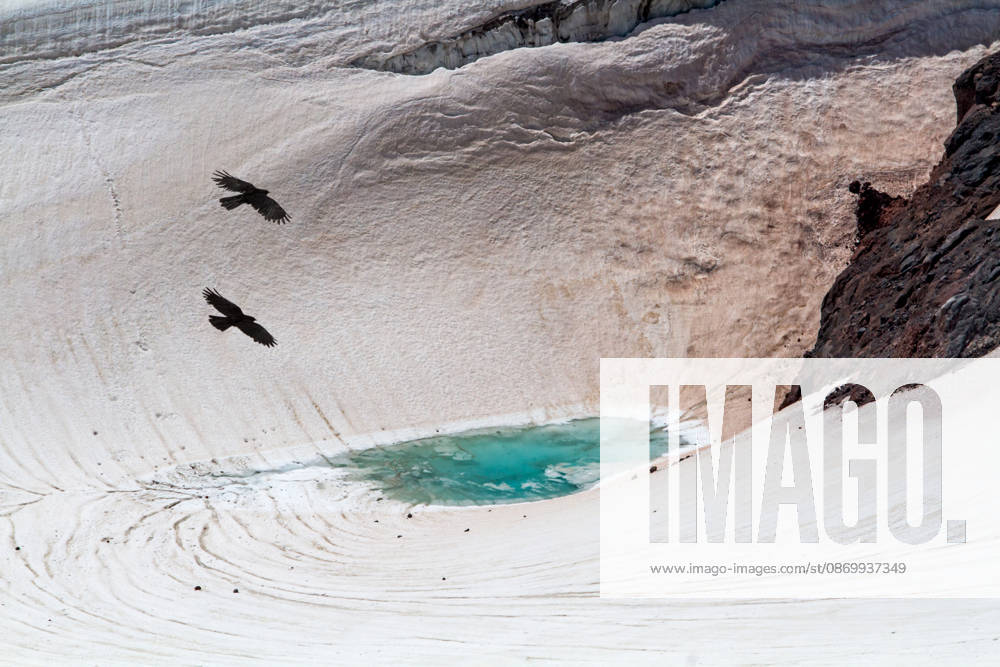 Two ravens soar above a stunning turquoise glacial lake El brusskiy, Karachay-Cherkessia, Russia CR_YUKI261018B-2149109-01 ,model released, Symbolfoto ,property released