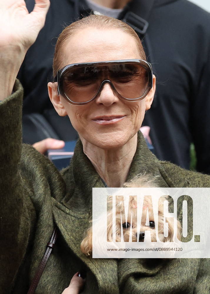 Céline Dion leaves the Royal Monceau hotel with her sons Nelson and Eddy and her dog the day after her final concert in Paris on October 19, 2026. Cyril Moreau, Bestimage. Céline Dion leaves the Royal Monceau hotel with her sons Nelson and Eddy and her dog, the day after her final concert in Paris on October 19, 2026, Paris, France