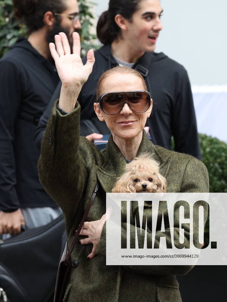 Céline Dion leaves the Royal Monceau hotel with her sons Nelson and Eddy and her dog the day after her final concert in Paris on October 19, 2026. Cyril Moreau, Bestimage. Céline Dion leaves the Royal Monceau hotel with her sons Nelson and Eddy and her dog, the day after her final concert in Paris on October 19, 2026, Paris, France