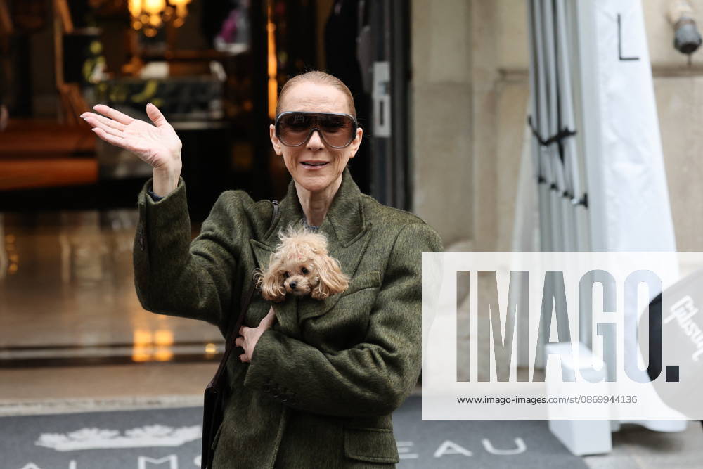 Céline Dion leaves the Royal Monceau hotel with her sons Nelson and Eddy and her dog the day after her final concert in Paris on October 19, 2026. Cyril Moreau, Bestimage. Céline Dion leaves the Royal Monceau hotel with her sons Nelson and Eddy and her dog, the day after her final concert in Paris on October 19, 2026, Paris, France