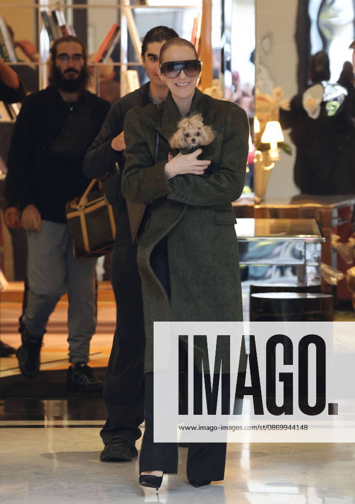 Céline Dion leaves the Royal Monceau hotel with her sons Nelson and Eddy and her dog the day after her final concert in Paris on October 19, 2026. Cyril Moreau, Bestimage. Céline Dion leaves the Royal Monceau hotel with her sons Nelson and Eddy and her dog, the day after her final concert in Paris on October 19, 2026, Paris, France