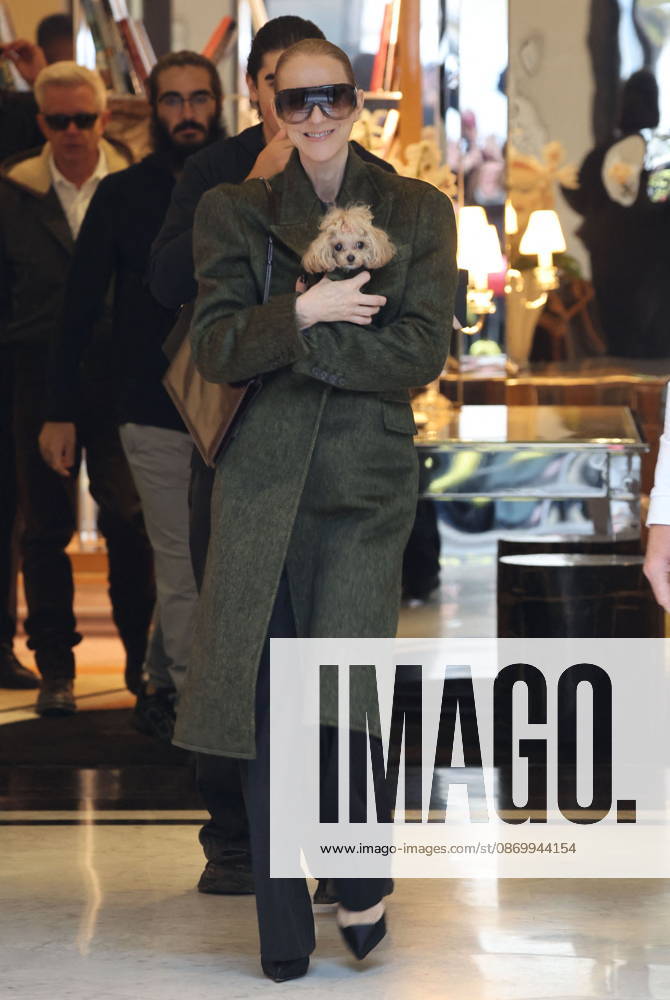 Céline Dion leaves the Royal Monceau hotel with her sons Nelson and Eddy and her dog the day after her final concert in Paris on October 19, 2026. Cyril Moreau, Bestimage. Céline Dion leaves the Royal Monceau hotel with her sons Nelson and Eddy and her dog, the day after her final concert in Paris on October 19, 2026, Paris, France
