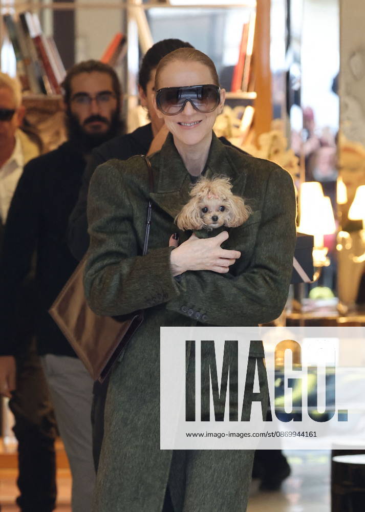 Céline Dion leaves the Royal Monceau hotel with her sons Nelson and Eddy and her dog the day after her final concert in Paris on October 19, 2026. Cyril Moreau, Bestimage. Céline Dion leaves the Royal Monceau hotel with her sons Nelson and Eddy and her dog, the day after her final concert in Paris on October 19, 2026, Paris, France