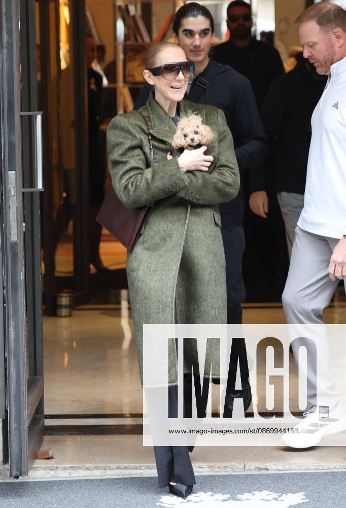 Céline Dion leaves the Royal Monceau hotel with her sons Nelson and Eddy and her dog the day after her final concert in Paris on October 19, 2026. Cyril Moreau, Bestimage. Céline Dion leaves the Royal Monceau hotel with her sons Nelson and Eddy and her dog, the day after her final concert in Paris on October 19, 2026, Paris, France