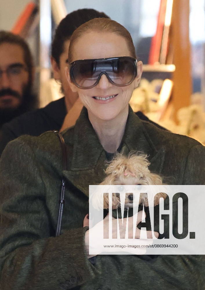 Céline Dion leaves the Royal Monceau hotel with her sons Nelson and Eddy and her dog the day after her final concert in Paris on October 19, 2026. Cyril Moreau, Bestimage. Céline Dion leaves the Royal Monceau hotel with her sons Nelson and Eddy and her dog, the day after her final concert in Paris on October 19, 2026, Paris, France