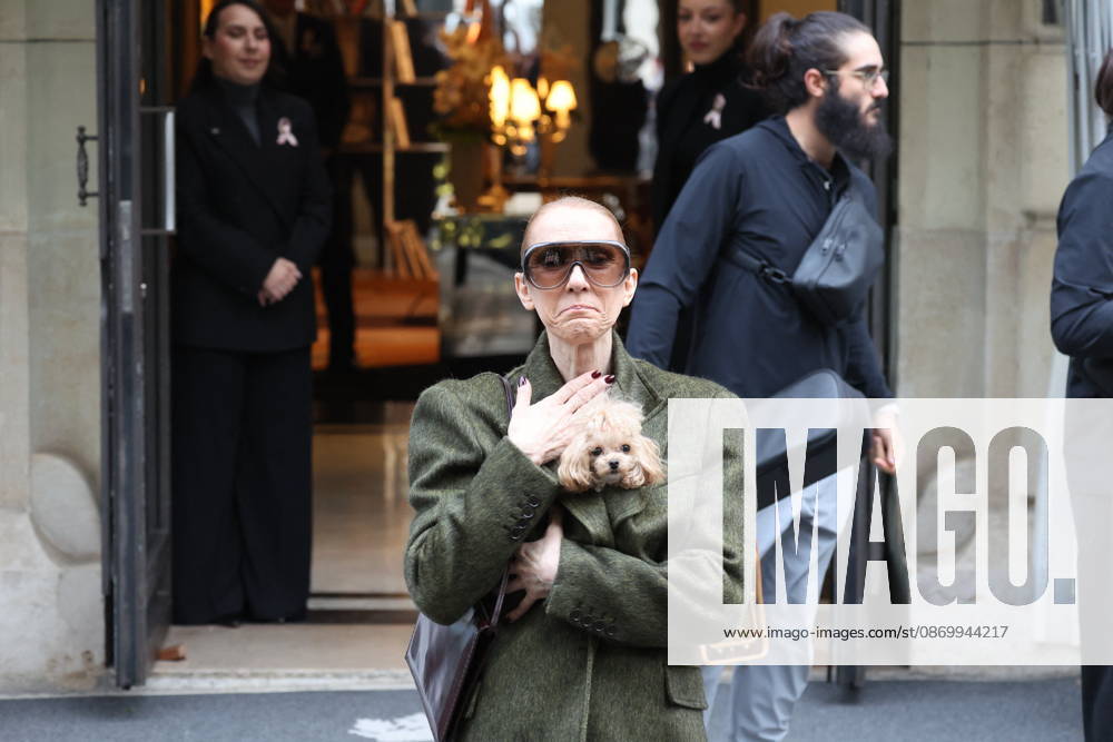 Céline Dion leaves the Royal Monceau hotel with her sons Nelson and Eddy and her dog the day after her final concert in Paris on October 19, 2026. Cyril Moreau, Bestimage. Céline Dion leaves the Royal Monceau hotel with her sons Nelson and Eddy and her dog, the day after her final concert in Paris on October 19, 2026, Paris, France