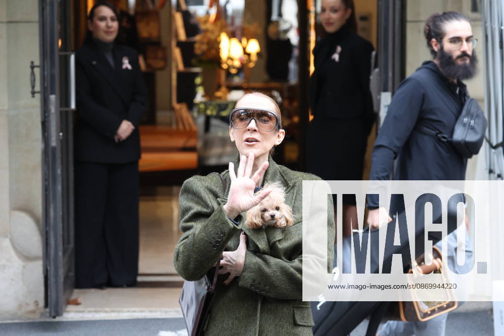 Céline Dion leaves the Royal Monceau hotel with her sons Nelson and Eddy and her dog the day after her final concert in Paris on October 19, 2026. Cyril Moreau, Bestimage. Céline Dion leaves the Royal Monceau hotel with her sons Nelson and Eddy and her dog, the day after her final concert in Paris on October 19, 2026, Paris, France
