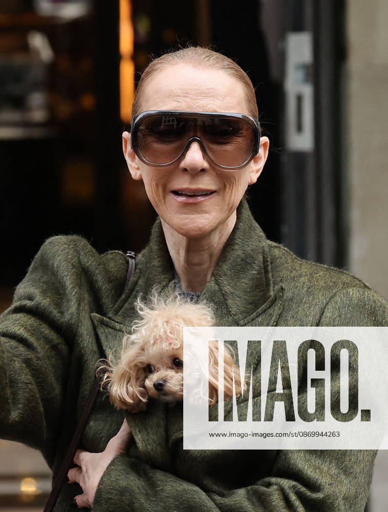 Céline Dion leaves the Royal Monceau hotel with her sons Nelson and Eddy and her dog the day after her final concert in Paris on October 19, 2026. Cyril Moreau, Bestimage. Céline Dion leaves the Royal Monceau hotel with her sons Nelson and Eddy and her dog, the day after her final concert in Paris on October 19, 2026, Paris, France