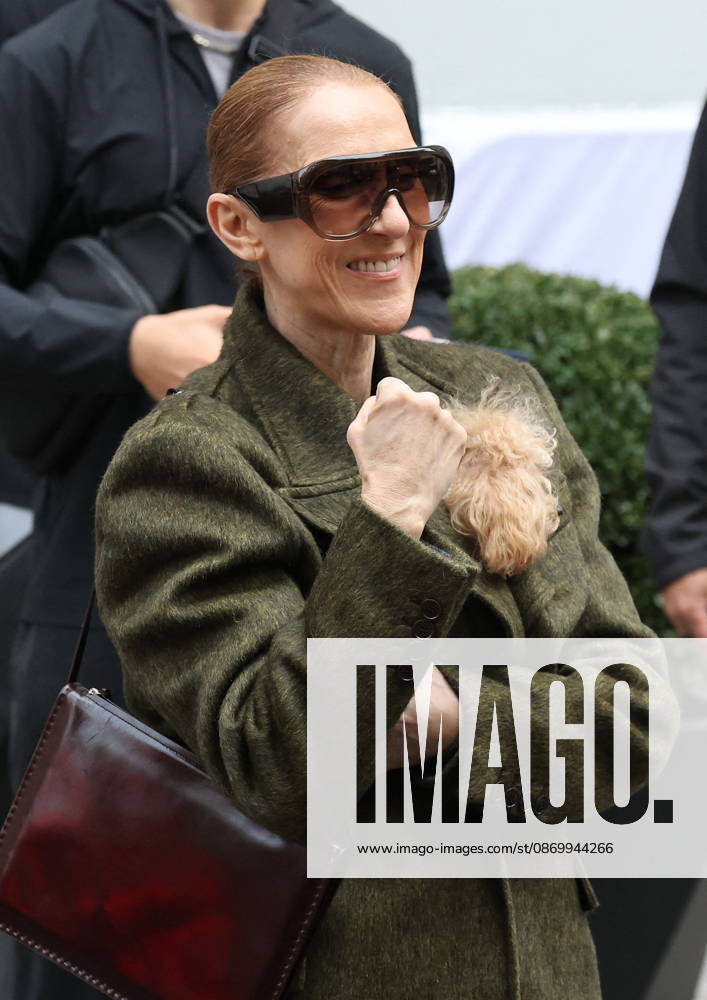 Céline Dion leaves the Royal Monceau hotel with her sons Nelson and Eddy and her dog the day after her final concert in Paris on October 19, 2026. Cyril Moreau, Bestimage. Céline Dion leaves the Royal Monceau hotel with her sons Nelson and Eddy and her dog, the day after her final concert in Paris on October 19, 2026, Paris, France