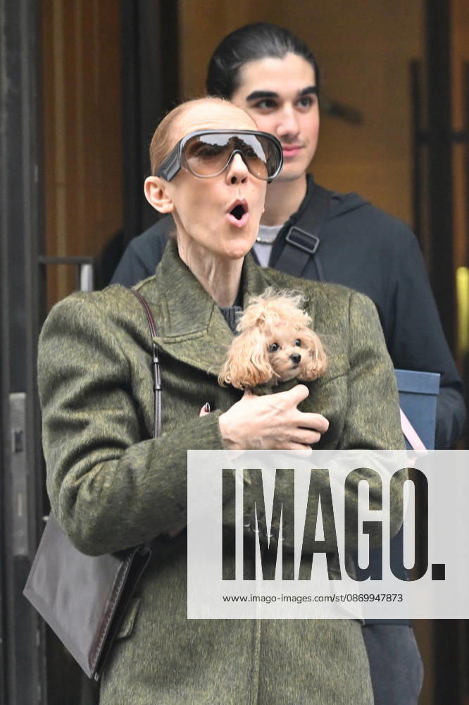 Céline Dion leaves the Royal Monceau hotel with her sons Nelson and Eddy and her dog after her concert series in Paris on October 19, 2026. Christian Liewig, Bestimage. Céline Dion leaves the Royal Monceau hotel with her sons Nelson and Eddy and her dog after her concert series in Paris on October 19, 2026 Paris, France