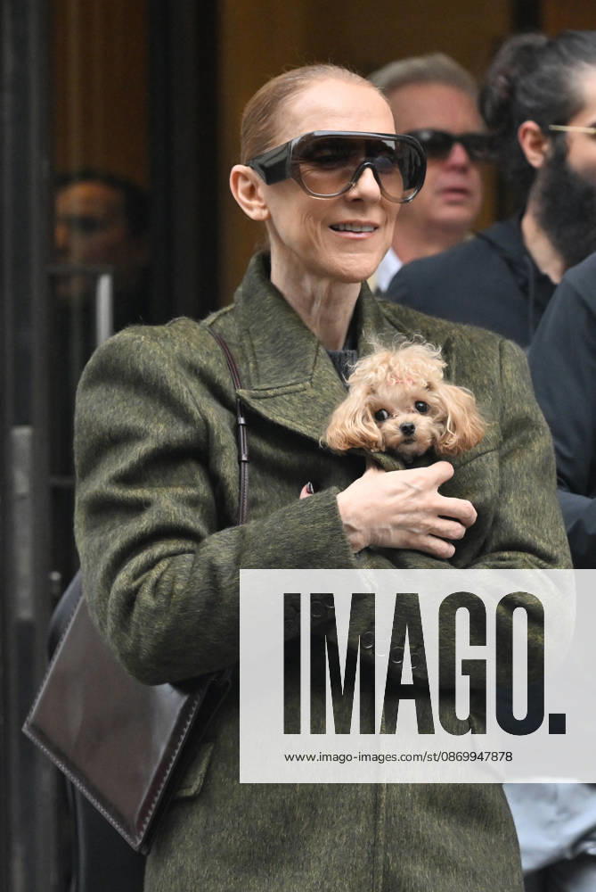 Céline Dion leaves the Royal Monceau hotel with her sons Nelson and Eddy and her dog after her concert series in Paris on October 19, 2026. Christian Liewig, Bestimage. Céline Dion leaves the Royal Monceau hotel with her sons Nelson and Eddy and her dog after her concert series in Paris on October 19, 2026 Paris, France