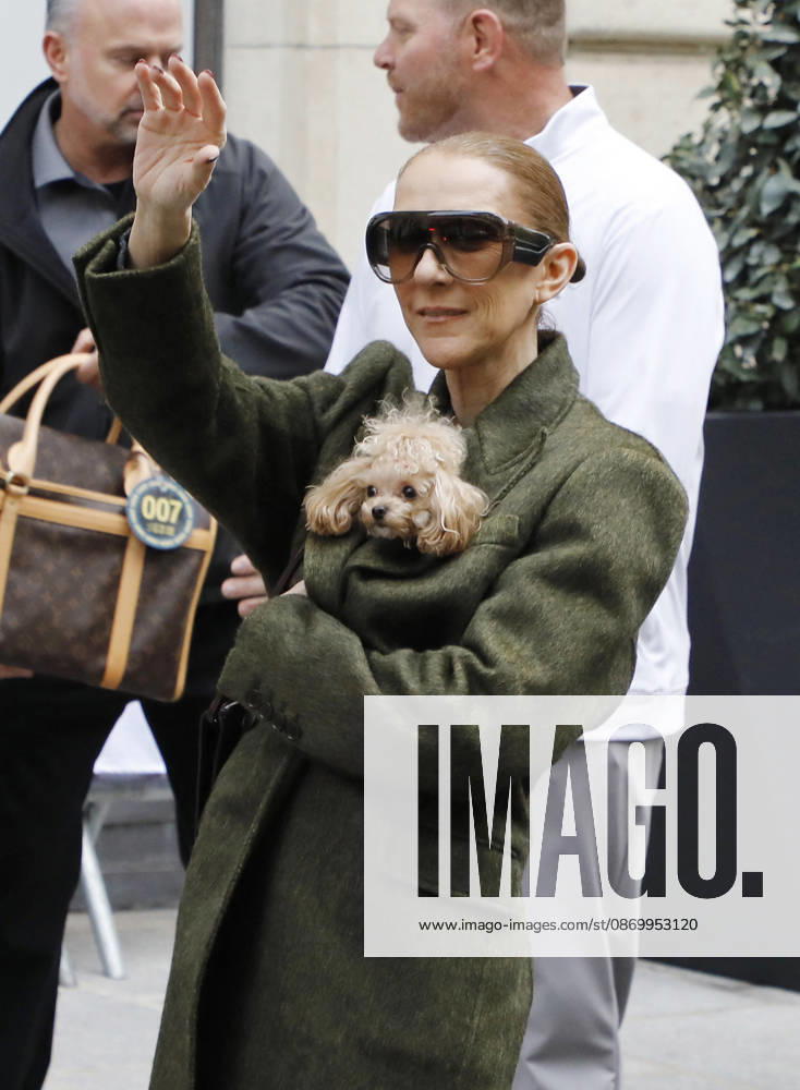 Céline Dion leaves the Royal Monceau hotel with her sons Nelson and Eddy and her dog Madison after her concert series in Paris October 19, 2026 Marc Aussel Lacroix Bestimage Céline Dion leaves the Royal Monceau hotel with her sons Nelson and Eddy and her dog Madison after her concert series in Paris October 19, 2026 Paris, France