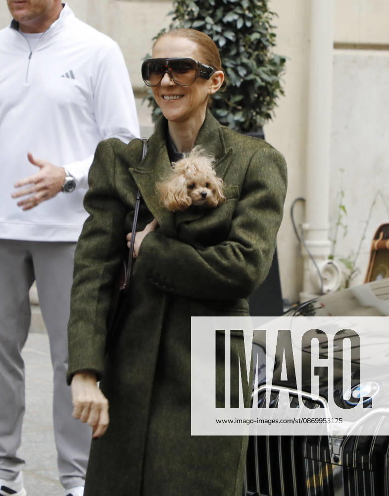 Céline Dion leaves the Royal Monceau hotel with her sons Nelson and Eddy and her dog Madison after her concert series in Paris October 19, 2026 Marc Aussel Lacroix Bestimage Céline Dion leaves the Royal Monceau hotel with her sons Nelson and Eddy and her dog Madison after her concert series in Paris October 19, 2026 Paris, France