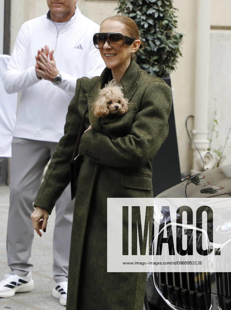 Céline Dion leaves the Royal Monceau hotel with her sons Nelson and Eddy and her dog Madison after her concert series in Paris October 19, 2026 Marc Aussel Lacroix Bestimage Céline Dion leaves the Royal Monceau hotel with her sons Nelson and Eddy and her dog Madison after her concert series in Paris October 19, 2026 Paris, France
