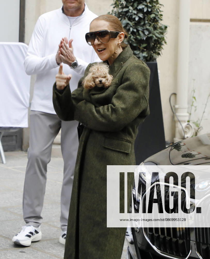 Céline Dion leaves the Royal Monceau hotel with her sons Nelson and Eddy and her dog Madison after her concert series in Paris October 19, 2026 Marc Aussel Lacroix Bestimage Céline Dion leaves the Royal Monceau hotel with her sons Nelson and Eddy and her dog Madison after her concert series in Paris October 19, 2026 Paris, France