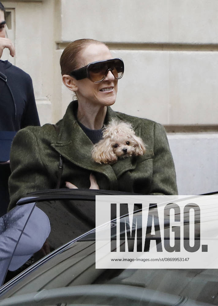Céline Dion leaves the Royal Monceau hotel with her sons Nelson and Eddy and her dog Madison after her concert series in Paris October 19, 2026 Marc Aussel Lacroix Bestimage Céline Dion leaves the Royal Monceau hotel with her sons Nelson and Eddy and her dog Madison after her concert series in Paris October 19, 2026 Paris, France
