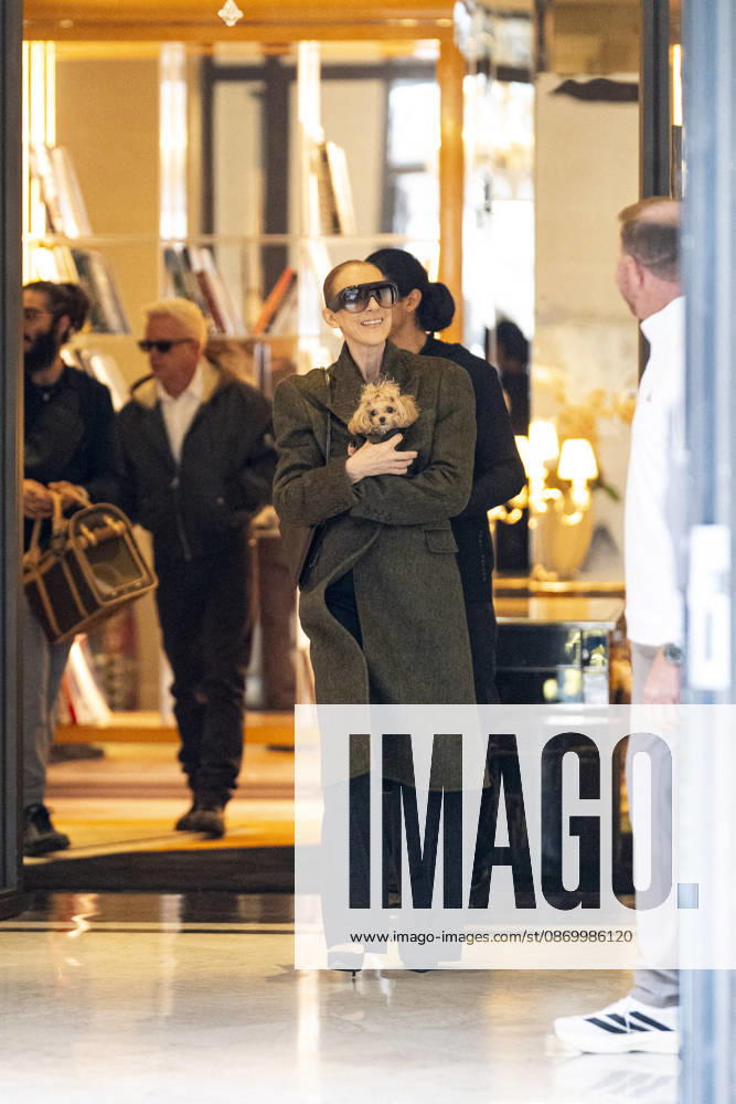 Céline Dion, accompanied by her sons Eddy and Nelson Angelil, leaves the Royal Monceau hotel for La Plenitude Arena in Paris after 16 concerts over five weeks in front of nearly 500,000 people, on October 19, 2026. Holding her dog, Madison, in her arms, the Canadian singer waved one last time to her fans gathered in front of the hotel. She will return to the Paris La Défense Arena for 10 special concerts from May 8 to 29, 2027. Pierre Perusseau Bestimage Céline Dion, accompanied by her sons Eddy and Nelson Angelil, leaves the Royal Monceau luxury hotel in Paris on October 19, 2026, following 16 concerts over five weeks performed before nearly 500,000 people. Holding her dog, Madison, in her arms, the Canadian singer waved one last time to