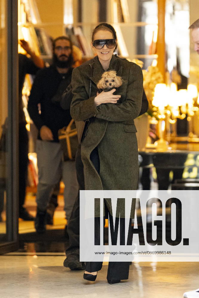 Céline Dion, accompanied by her sons Eddy and Nelson Angelil, leaves the Royal Monceau hotel for La Plenitude Arena in Paris after 16 concerts over five weeks in front of nearly 500,000 people, on October 19, 2026. Holding her dog, Madison, in her arms, the Canadian singer waved one last time to her fans gathered in front of the hotel. She will return to the Paris La Défense Arena for 10 special concerts from May 8 to 29, 2027. Pierre Perusseau Bestimage Céline Dion, accompanied by her sons Eddy and Nelson Angelil, leaves the Royal Monceau luxury hotel in Paris on October 19, 2026, following 16 concerts over five weeks performed before nearly 500,000 people. Holding her dog, Madison, in her arms, the Canadian singer waved one last time to