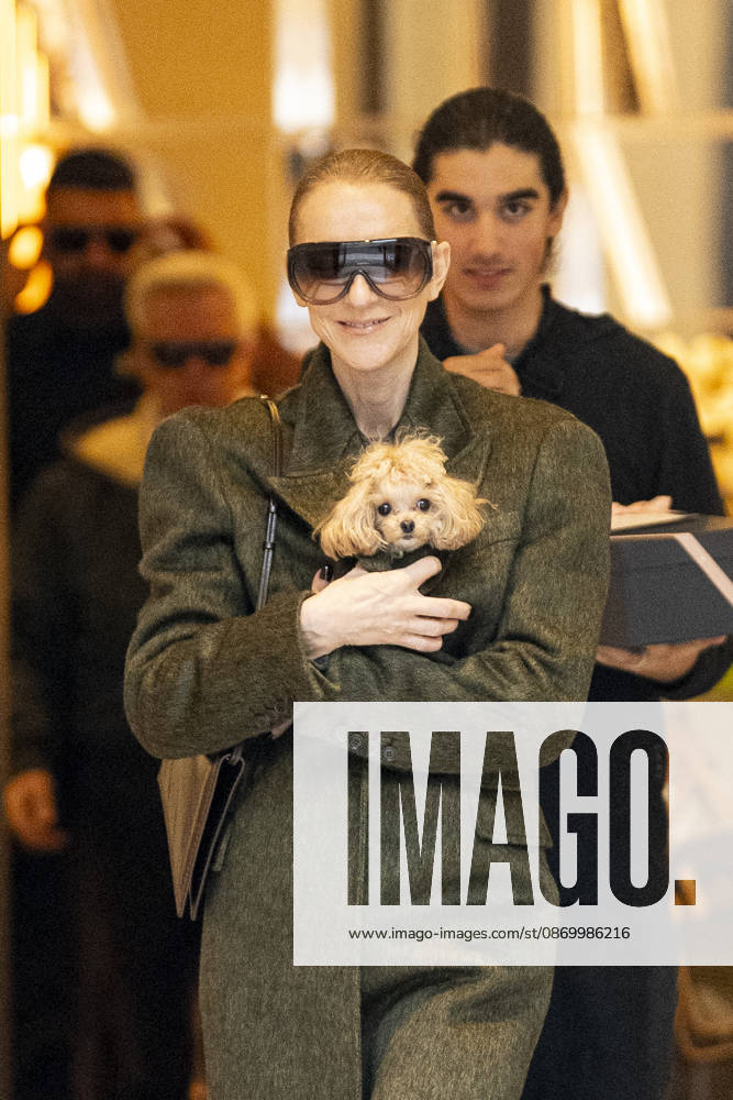 Céline Dion, accompanied by her sons Eddy and Nelson Angelil, leaves the Royal Monceau hotel for La Plenitude Arena in Paris after 16 concerts over five weeks in front of nearly 500,000 people, on October 19, 2026. Holding her dog, Madison, in her arms, the Canadian singer waved one last time to her fans gathered in front of the hotel. She will return to the Paris La Défense Arena for 10 special concerts from May 8 to 29, 2027. Pierre Perusseau Bestimage Céline Dion, accompanied by her sons Eddy and Nelson Angelil, leaves the Royal Monceau luxury hotel in Paris on October 19, 2026, following 16 concerts over five weeks performed before nearly 500,000 people. Holding her dog, Madison, in her arms, the Canadian singer waved one last time to