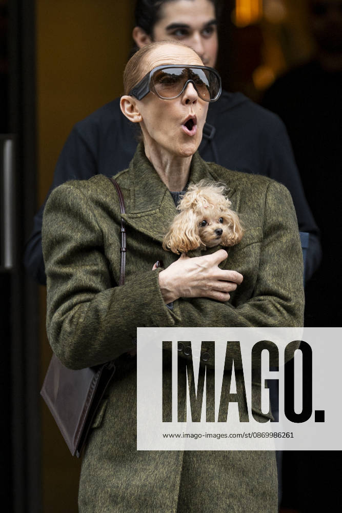 Céline Dion, accompanied by her sons Eddy and Nelson Angelil, leaves the Royal Monceau hotel for La Plenitude Arena in Paris after 16 concerts over five weeks in front of nearly 500,000 people, on October 19, 2026. Holding her dog, Madison, in her arms, the Canadian singer waved one last time to her fans gathered in front of the hotel. She will return to the Paris La Défense Arena for 10 special concerts from May 8 to 29, 2027. Pierre Perusseau Bestimage Céline Dion, accompanied by her sons Eddy and Nelson Angelil, leaves the Royal Monceau luxury hotel in Paris on October 19, 2026, following 16 concerts over five weeks performed before nearly 500,000 people. Holding her dog, Madison, in her arms, the Canadian singer waved one last time to