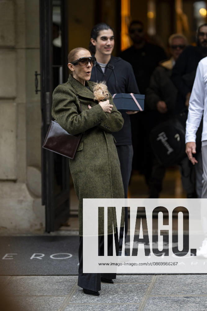 Céline Dion, accompanied by her sons Eddy and Nelson Angelil, leaves the Royal Monceau hotel for La Plenitude Arena in Paris after 16 concerts over five weeks in front of nearly 500,000 people, on October 19, 2026. Holding her dog, Madison, in her arms, the Canadian singer waved one last time to her fans gathered in front of the hotel. She will return to the Paris La Défense Arena for 10 special concerts from May 8 to 29, 2027. Pierre Perusseau Bestimage Céline Dion, accompanied by her sons Eddy and Nelson Angelil, leaves the Royal Monceau luxury hotel in Paris on October 19, 2026, following 16 concerts over five weeks performed before nearly 500,000 people. Holding her dog, Madison, in her arms, the Canadian singer waved one last time to