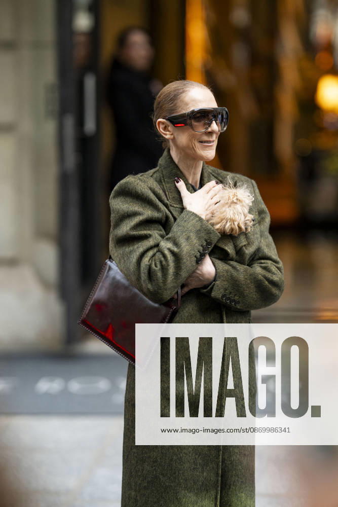 Céline Dion, accompanied by her sons Eddy and Nelson Angelil, leaves the Royal Monceau hotel for La Plenitude Arena in Paris after 16 concerts over five weeks in front of nearly 500,000 people, on October 19, 2026. Holding her dog, Madison, in her arms, the Canadian singer waved one last time to her fans gathered in front of the hotel. She will return to the Paris La Défense Arena for 10 special concerts from May 8 to 29, 2027. Pierre Perusseau Bestimage Céline Dion, accompanied by her sons Eddy and Nelson Angelil, leaves the Royal Monceau luxury hotel in Paris on October 19, 2026, following 16 concerts over five weeks performed before nearly 500,000 people. Holding her dog, Madison, in her arms, the Canadian singer waved one last time to