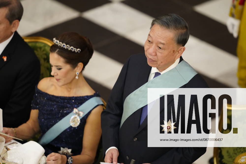 Denmark State Visit from Vietnam Vietnam s president, To Lam, gives a speech at the gala dinner at Christiansborg Palace in Copenhagen, Monday, October 19, 2026. Vietnam s president and his spouse are on a three-day state visit to Denmark. (Photo: Mads Claus Rasmussen Scanpix 2026) , Copenhagen Denmark