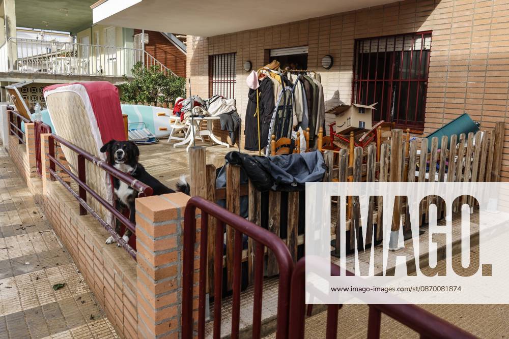 Sánchez visits Oliva, Valencia, to assess the damage caused by Storm Adam Property damage to homes caused by Storm Adam, as of October 20, 2026, in Oliva, Valencia, Valencian Community, Spain. The storm caused by Storm Adam has resulted in three deaths in the Valencian Community: a man, approximately 64 years old, at a campground in Oliva, Valencia; a 79-year-old woman with limited mobility found dead in her home, also in Oliva, and another woman who lost her life this past Sunday after going into the sea in the Valencian town of Sagunt. October 20, 2026. Oliva, Valencia, Valencian Community. Oliva, Valencia, Valencian Community, Spain