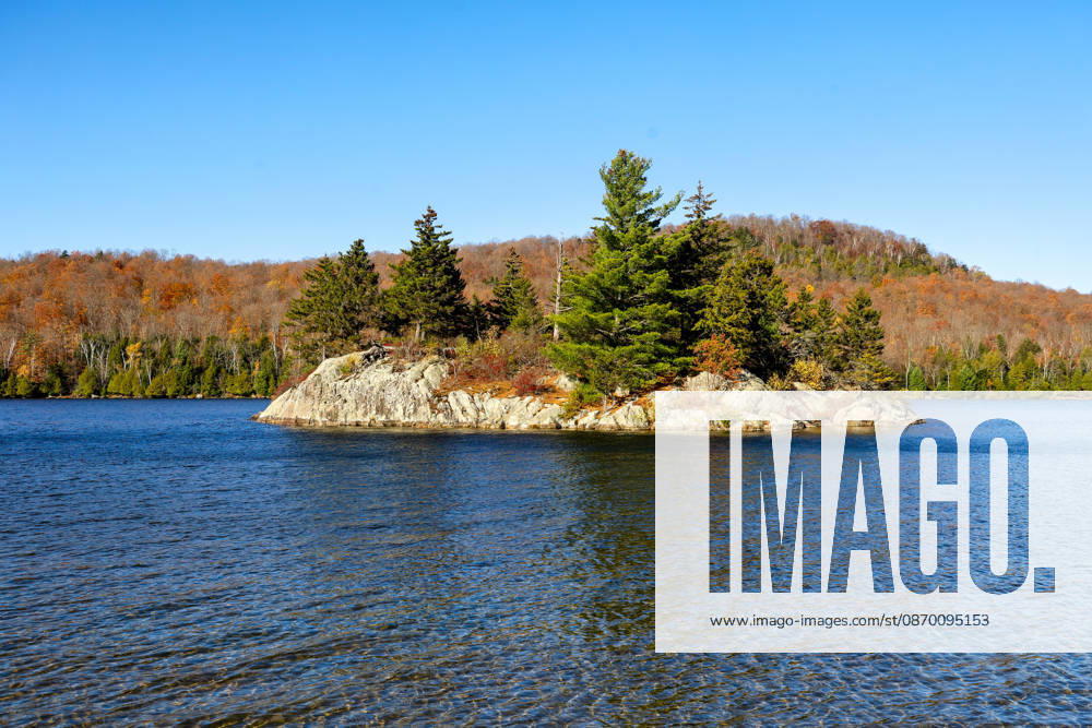 Herbstliche Landschaft am Stukely Lake (Lac Stukely) im Mont-Orford-Nationalpark (Parc national du Mont-Orford). Bei sonnigem Wetter zeigen sich einige Laubbäume noch in leuchtenden Herbstfarben, während zahlreiche andere Bäume nach den ersten Nachtfrösten bereits ihr Laub verloren haben. Orford, Quebec, CAN, Kanda