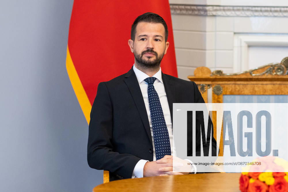 Lietuvos Respublikos Prezidentas Gitanas Nauseda prieme i Lietuva atvykusi Juodkalnijos Prezidenta Jakova Milatoviciu. Vilnius, 2026-10-22
