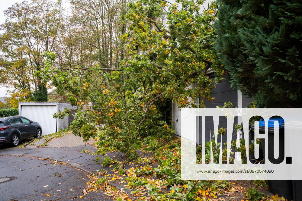 Starke Unwetter in Rheinland-Pfalz Sturm entwurzelt Bäume und beschädigt Häuser In der Nacht zum 24.10.2026 entwurzelten starke Windböen in Bad Ems im Schlesierweg einen Baum, der auf eine Stromfreileitung stürzte. Durch die einwirkenden Kräfte wurden die Freileitung und das Dach eines Hauses im Sudetenweg erheblich beschädigt. Auch weitere Häuser in der Nachbarschaft wurden in Mitleidenschaft gezogen. Mehrere an die Freileitung angeschlossene Gebäude waren ohne Strom, die Feuerwehr Bad Ems und der Energieversorger Syna waren im Einsatz. Personen kamen nicht zu Schaden. Bad Ems Rheinland-Pfalz Deutschland