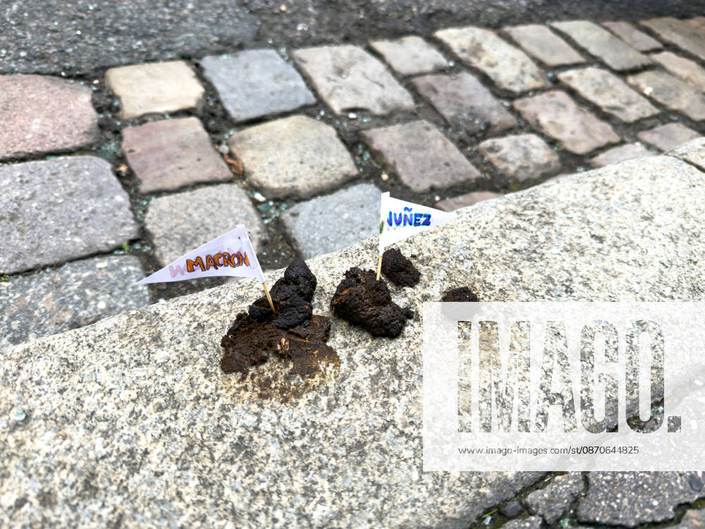 Lyon France Protests October 24 flags reading MACRON and NUNEZ stick out of feces on a sidewalk curb during a protest in Lyon, France on October 24, 2026. Authorities deployed around 70,000 security personnel across France for renewed protests over the cost of living, after unrest a week earlier saw public buildings damaged, hundreds of shops looted and about 2,700 people arrested. Lyon Rhone Alpes France