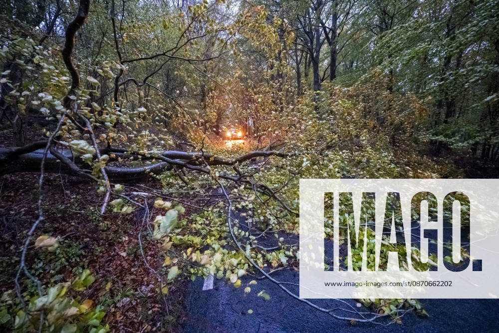 Fallen trees on the roads outside Sjöbo as Storm Boelo swept across southern Sweden on Sunday. Storm Boelo is moving in with southwesterly winds. SJÖBO, SWEDEN