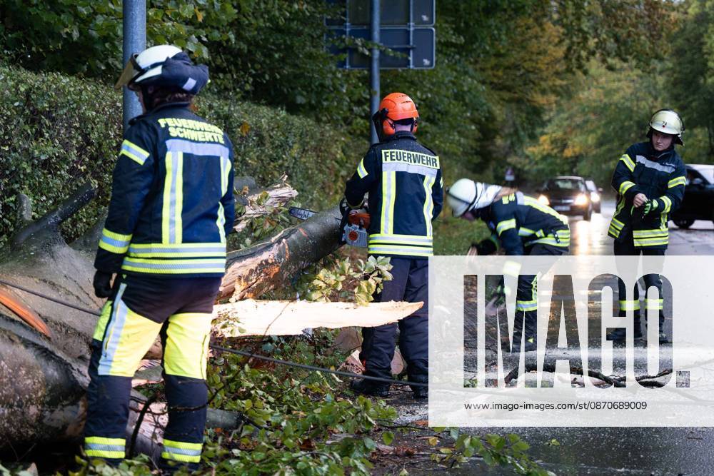 Baumsturz in Schwerte: 80 Zentimeter dicker Baum kracht vor fahrendes Auto – Insassen entgehen nur knapp einer Katastrophe 7aIMG: 0578223 Baumsturz in Schwerte: 80 Zentimeter dicker Baum kracht vor fahrendes Auto – Insassen entgehen nur knapp einer KatastropheNordrhein-Westfalen, Schwerte, Deutschland