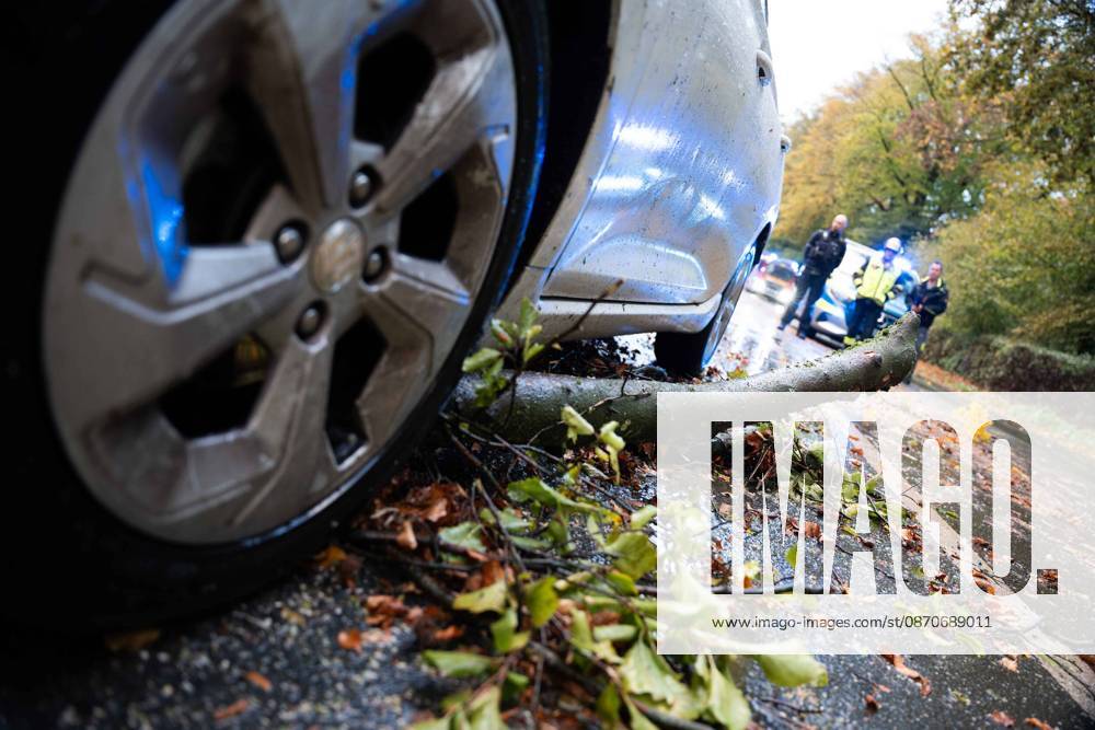 Baumsturz in Schwerte: 80 Zentimeter dicker Baum kracht vor fahrendes Auto – Insassen entgehen nur knapp einer Katastrophe 7aIMG: 0578224 Baumsturz in Schwerte: 80 Zentimeter dicker Baum kracht vor fahrendes Auto – Insassen entgehen nur knapp einer KatastropheNordrhein-Westfalen, Schwerte, Deutschland