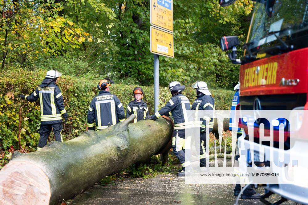 Baumsturz in Schwerte: 80 Zentimeter dicker Baum kracht vor fahrendes Auto – Insassen entgehen nur knapp einer Katastrophe 7aIMG: 0578228 Baumsturz in Schwerte: 80 Zentimeter dicker Baum kracht vor fahrendes Auto – Insassen entgehen nur knapp einer KatastropheNordrhein-Westfalen, Schwerte, Deutschland