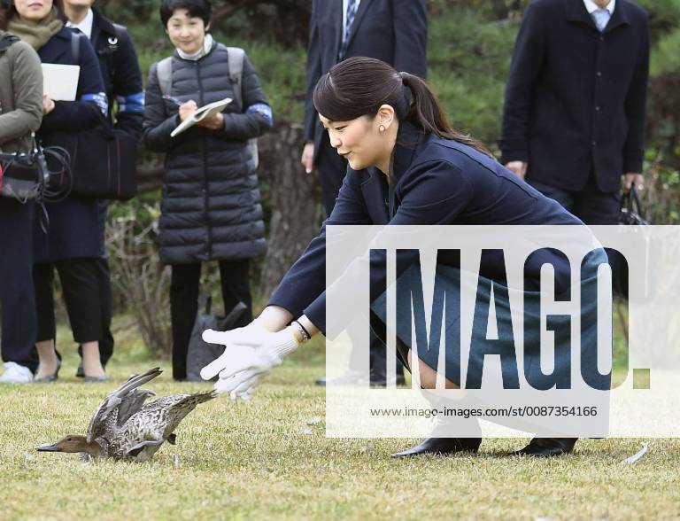 Princess Mako at Imperial Wild Duck Preserve Japanese Princess Mako, the eldest granddaughter of Emperor Akihito, releases a duck as foreign ambassadors to Japan are invited to an event to introduce traditional Japanese duck hunting at the Shinhama Imperial Wild Duck Preserve in Ichikawa, Chiba Prefecture, on Dec. 7, 2018.