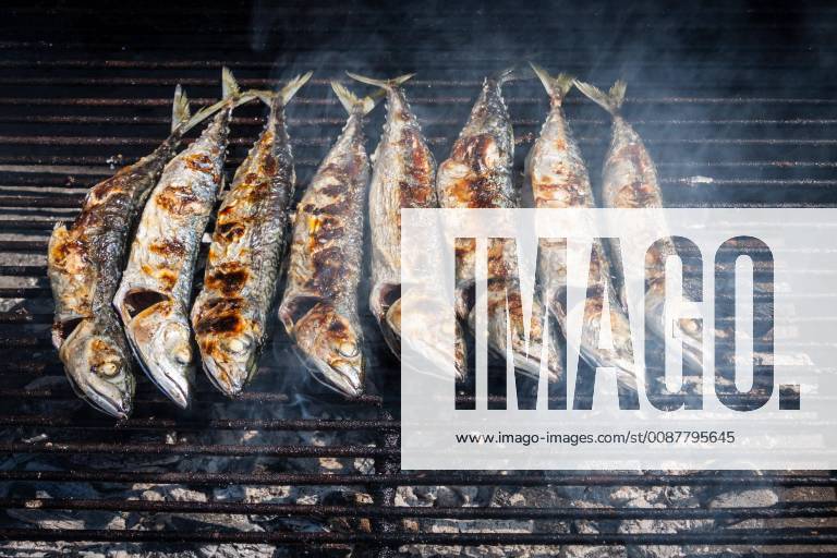 Mackerel grilled