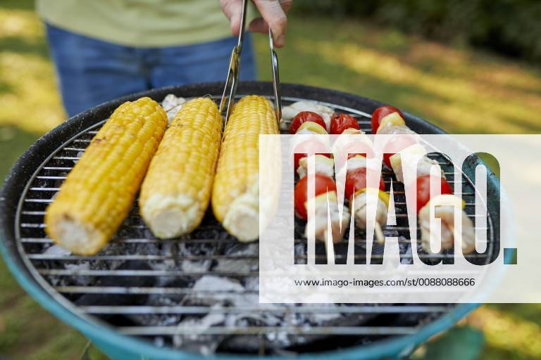 Corn cob and meat skewer on grill at barbecue in garden model released Symbolfoto property released ZEDF01583