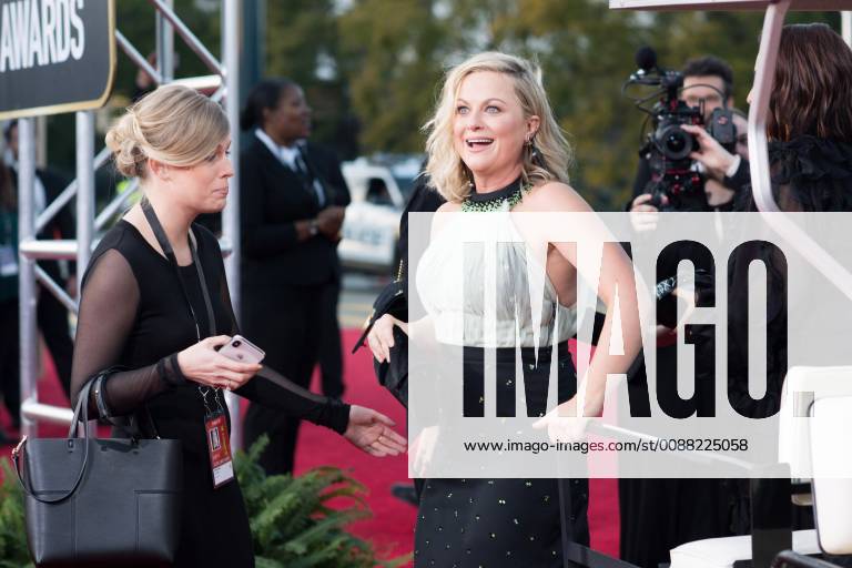 Amy Poehler attends the 76th Annual Golden Globe Awards at the Beverly Hilton in Beverly Hills, CA on Sunday