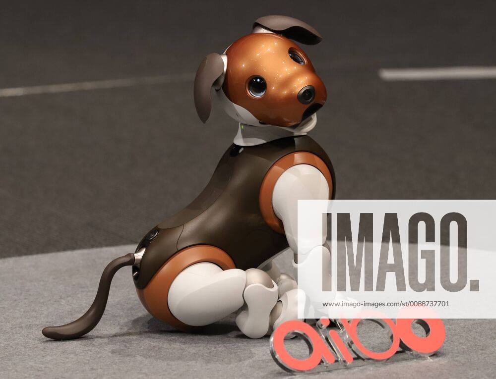Tokyo, Japan - Japanese electronics giant Sony introduces the newly designed robot dog aibo which will go on sale on February 1 at the company s headquarters in Tokyo on Wednesday, January 23, 2019. Sony also annouced the new service for aibo as the patrol in use s house to remotely monitor children or elderly people with a security company Secom. (95599595)