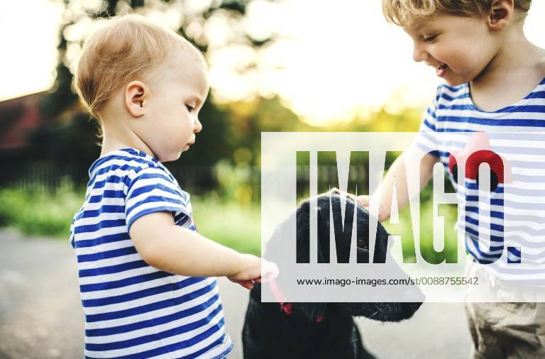 Toddler and his little sister stroking dog outdoors model released Symbolfoto property released HAPF02789