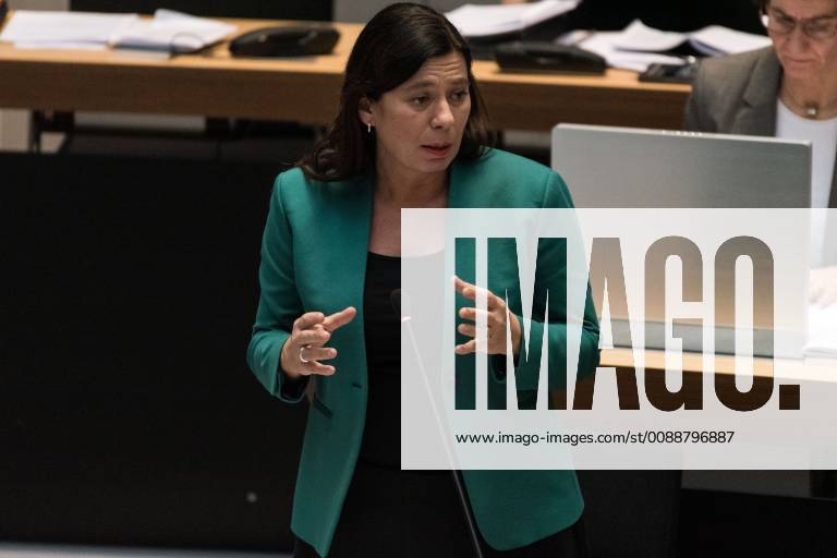 Senatorin f??r Bildung, Jugend und Familie: Sandra Scheeres (SPD) spricht waehrend der Plenarsitzung im Berliner Abgeordnetenhaus mit der Sitzungs-Nr. 36 am 24.01.2019 in Berlin, Deutschland.