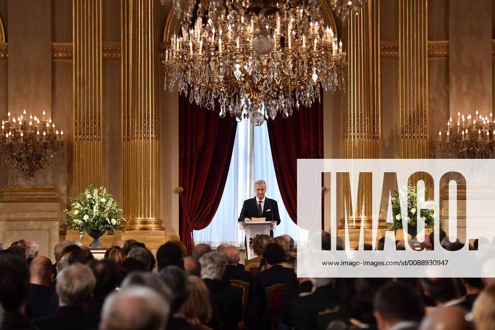 King Philippe - Filip of Belgium delivers a speech at a New Year s reception organized by the Royal Family for the Belgian Authorities, at the Royal Palace, in Brussels, Tuesday 29 January 2019. DIRKxWAEM 05519114