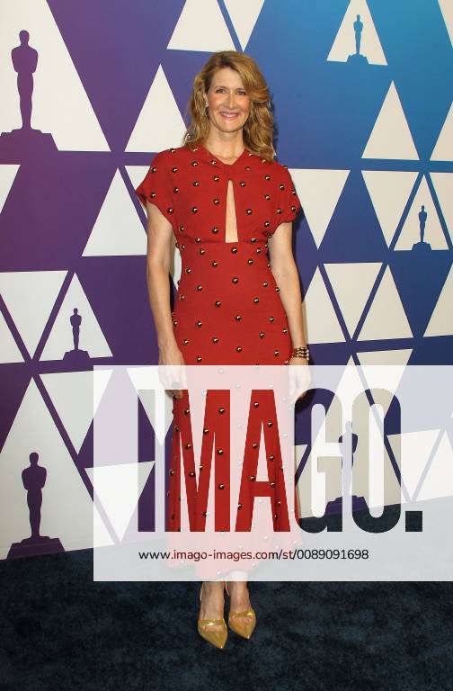 Los Angeles, California - Laura Dern. 91st Oscars Nominees Luncheon held at the Beverly Hilton in Beverly Hills. Photo Credit: AdMedia 234955 2019-02-05 CA Beverly Hills Etats-Unis