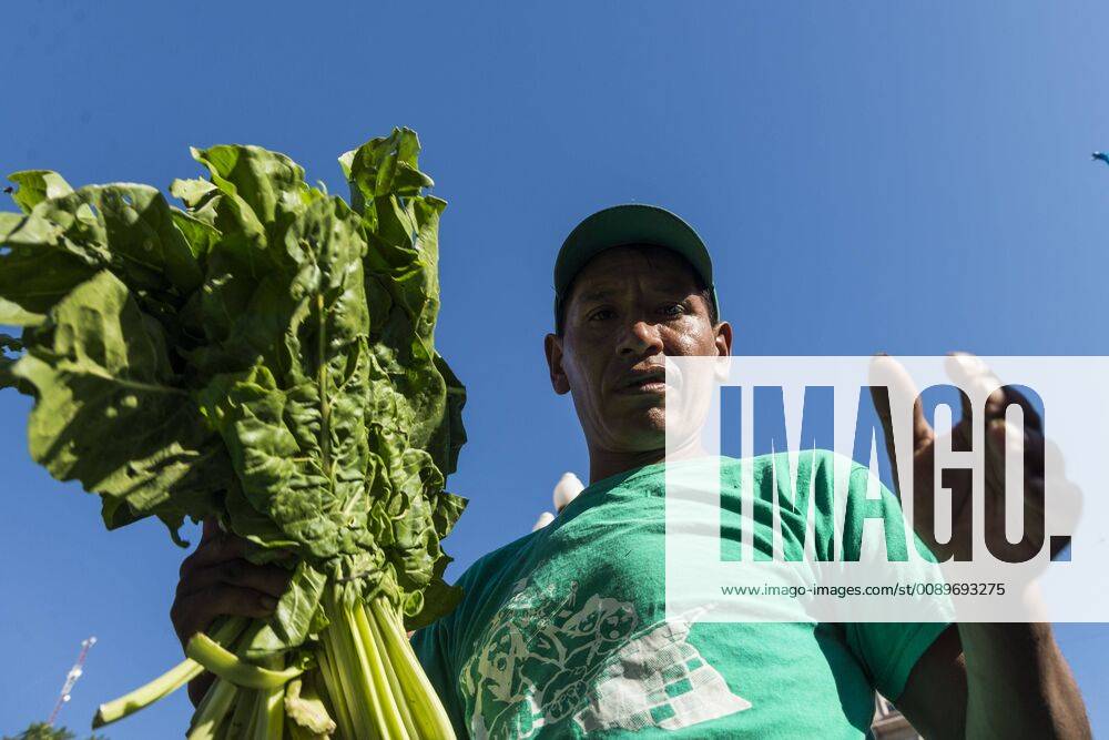 City Of Buenos Aires, City of Buenos Aires, Argentina - INT. 2019, February 27. City of Buenos Aires, Argentina.- Small producers give away on 2019 February 27, 20 thousands kilos of vegetables, called Verdurazo, in Plaza de Mayo, City of Buenos Aires, claiming for improvements to small farmers and against hunger. The last February 15, they were repressed when they tried to sell vegetables at an accessible and fair price in Constitucion neighborhood, in City of Buenos Aires. City Of Buenos Aires Argentina - ZUMAf135 20190227_zap_f135_010