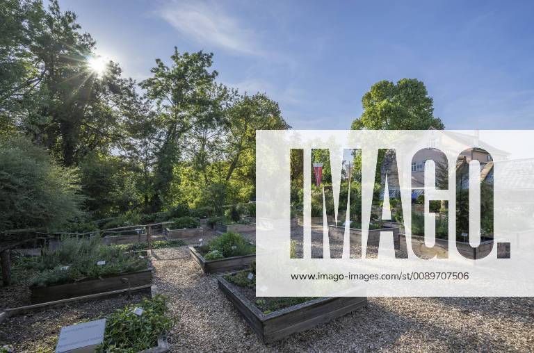 Germany, Baden-Wuerttemberg, Ludwigsburg, Ludwigsburg Palace, herb and medicinal plants garden property released PVCF01273