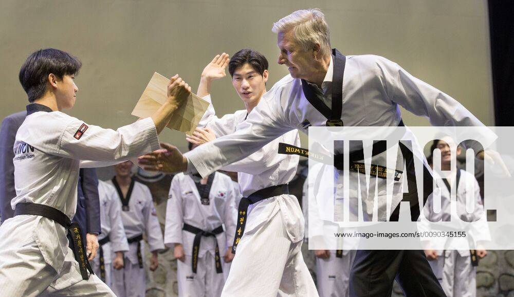 King Philippe - Filip of Belgium pictured in action at a demonstration of Taekwondo exercices, during a visit to Kukkiwon World Taekwondo Headquarters, on the third day of a State Visit in Seoul, South Korea, Wednesday 27 March 2019. The Belgian Royal couple is on a four days state visit to South Korea. BENOITxDOPPAGNE 05555954