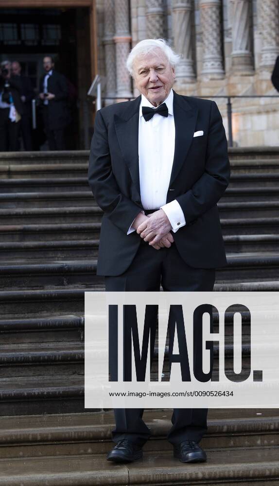 IMAGO ICONS: Sir David Attenborough April 4, 2019 - London, United Kingdom of Great Britain and Northern Ireland - Sir David Attenborough arriving at the Global Premiere of Our Planet at the Natural History Museum on April 4 2019 in London London United Kingdom of Great Britain and Northern Ireland